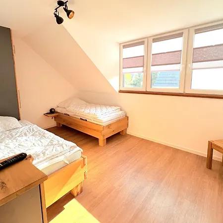 Bug - Zwischen Bodden Und Feriehus *
