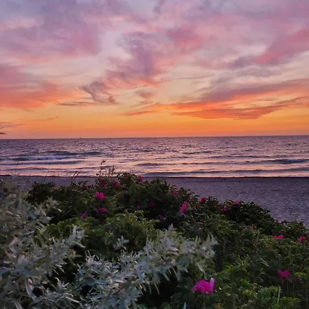 Semesterbostad Bug Dranske